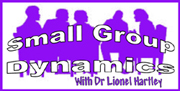 Small Group Dynamics (Seminar)